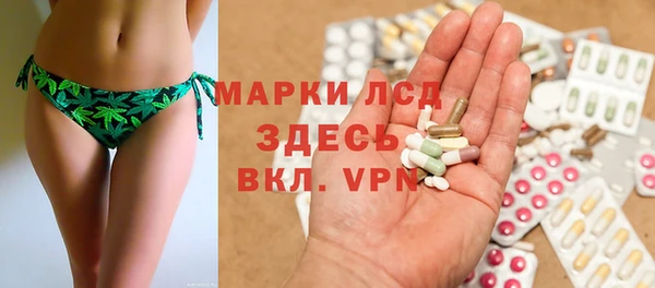 молекула духа Новозыбков