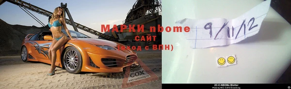 молекула духа Новозыбков
