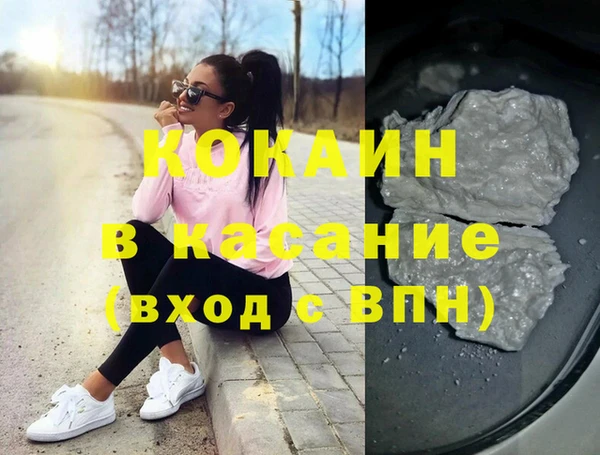 шишки Новодвинск