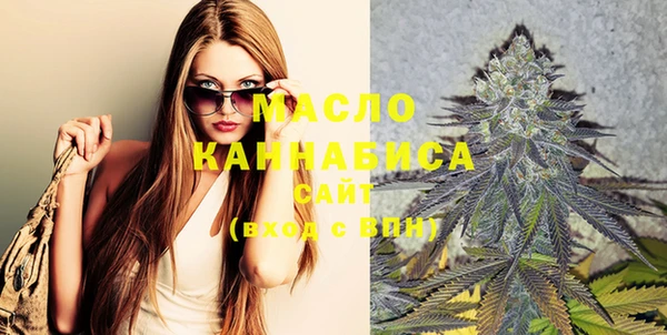 шишки Новодвинск