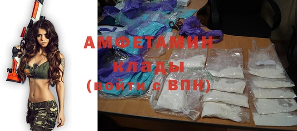 шишки Новодвинск