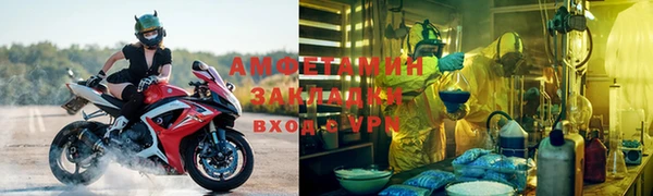 шишки Новодвинск