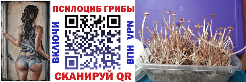 Галлюциногенные грибы ЛСД ссылка на мегу вход Тейково